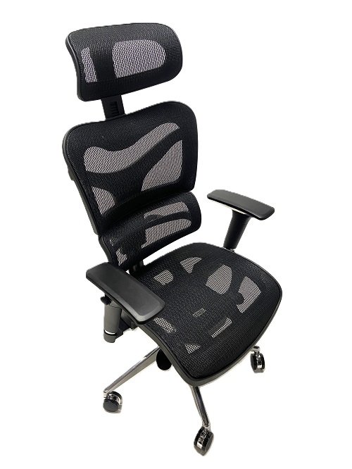 Used Black Dorsum Ergonomic Executive Mesh Office Chair
