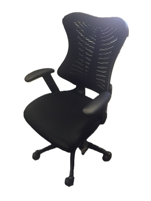 Used SPINE Mesh Office Chair